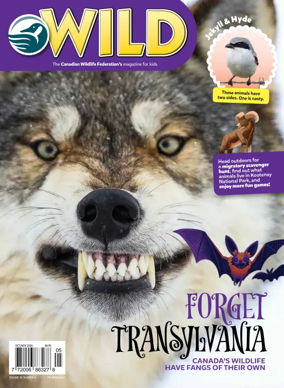Cover of Wild
