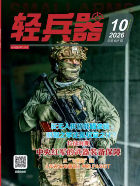 Cover of Small Arms