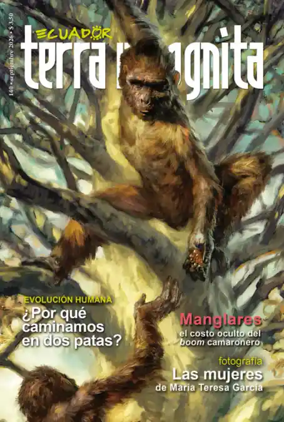 Cover of Ecuador Terra Incognita