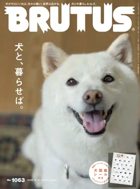 Cover of BRUTUS