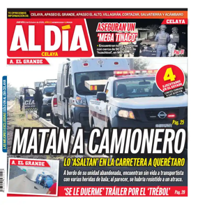 Cover of Periodico Al Dia (Celaya)
