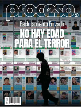 Cover of Proceso