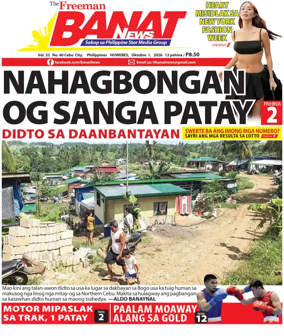 Cover of Banat News