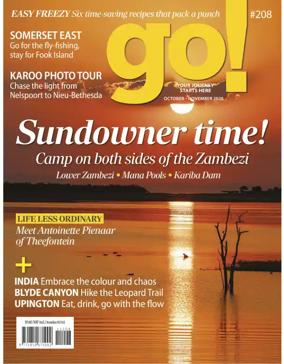 Cover of go!