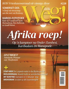 Cover of Weg!