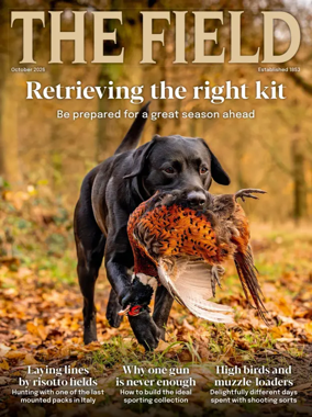 Cover of The Field