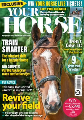 Cover of Your Horse (UK)