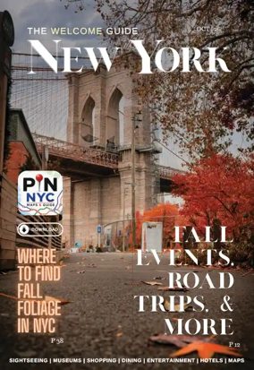 Cover of The Welcome Guide New York
