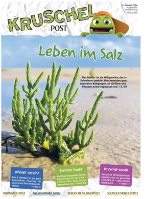 Cover of Kruschelpost