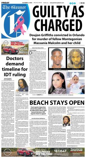 Cover of The Gleaner