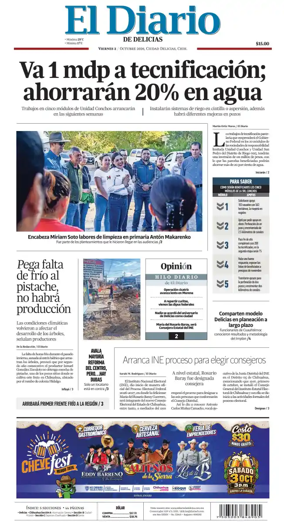 Cover of El Diario de Delicias
