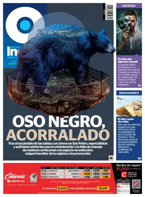 Cover of Reporte Indigo Monterrey