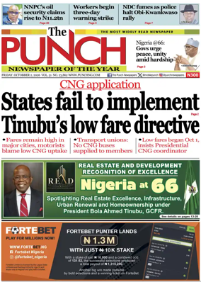 Cover of The Punch