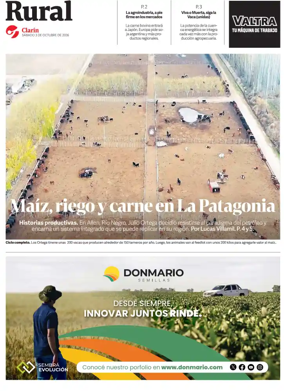 Cover of Rural