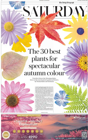 Cover of The Daily Telegraph – Saturday Supplement