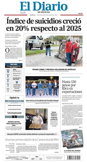 Cover of El Diario de Delicias