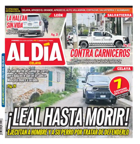 Cover of Periodico Al Dia (Celaya)