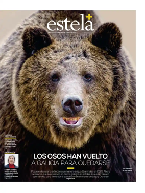 Cover of Estela