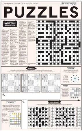 Cover of Puzzles