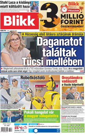 Cover of Blikk
