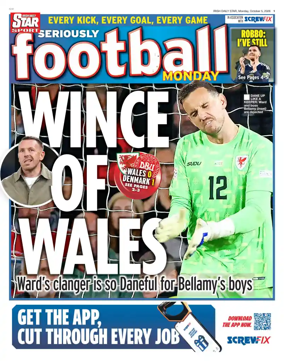 Cover of Irish Daily Star - Fanatic