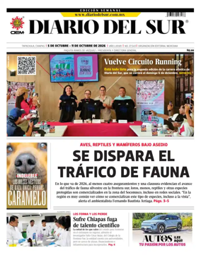 Cover of Diario del Sur