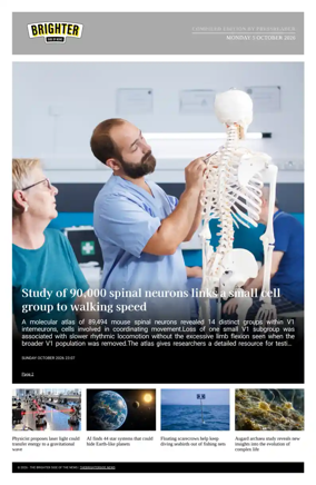 Cover of The Brighter Side of News
