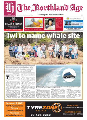 Cover of The Northland Age