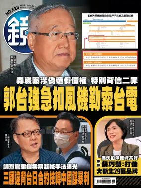 Cover of Mirror Media