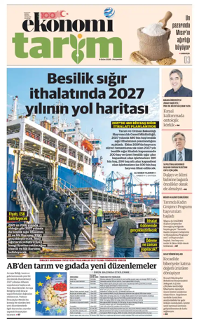 Cover of NBE - Sektor Ekleri