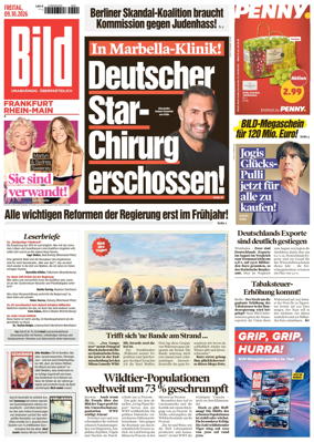 Cover of BILD Frankfurt