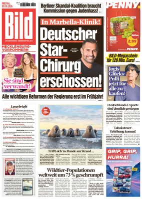 Cover of BILD Mecklenburg