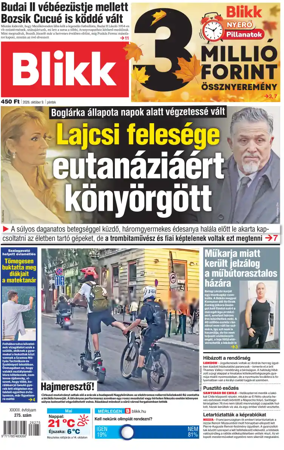 Cover of Blikk