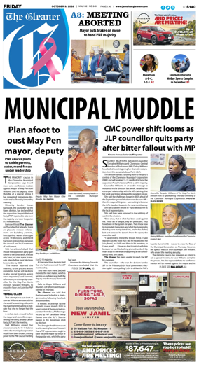 Cover of The Gleaner