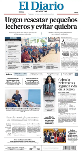 Cover of El Diario de Delicias