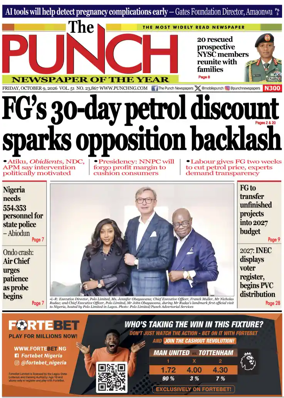 Cover of The Punch
