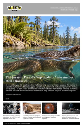 Cover of The Brighter Side of News