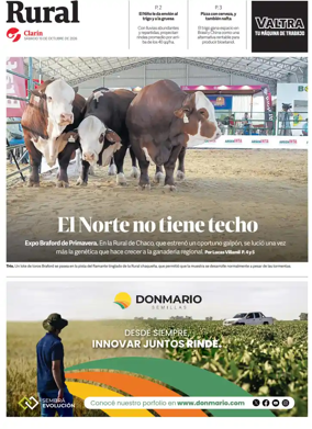 Cover of Rural