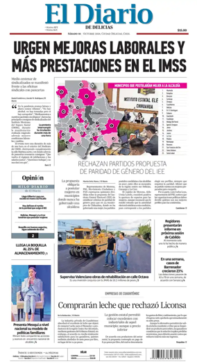 Cover of El Diario de Delicias