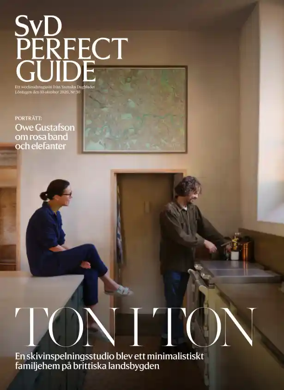 Cover of SvD Perfect Guide