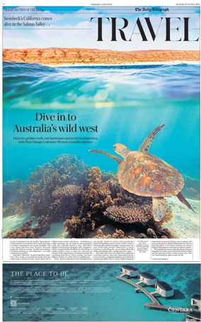 Cover of Travel