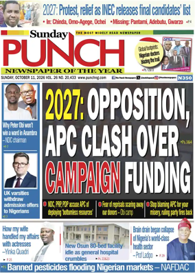 Cover of Sunday Punch