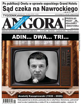 Cover of Angora