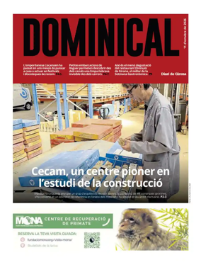 Cover of Dominical