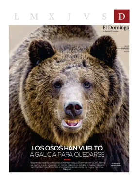 Cover of El Domingo