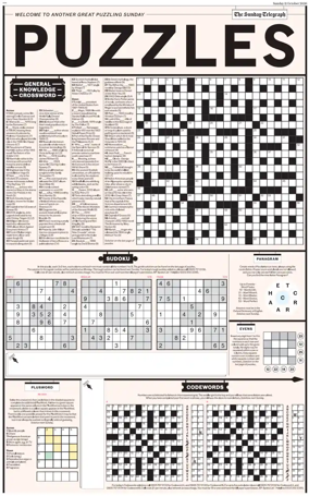 Cover of Puzzles
