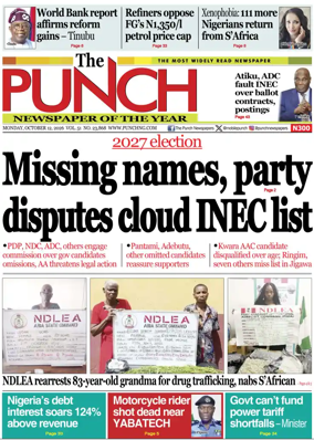 Cover of The Punch