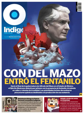 Cover of Reporte Indigo Nacional