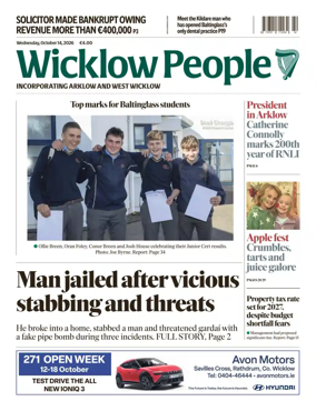 Cover of Wicklow People