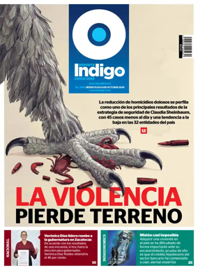 Cover of Reporte Indigo Nacional